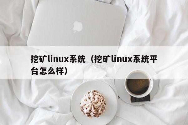 挖矿linux系统(挖矿linux系统平台怎么样)