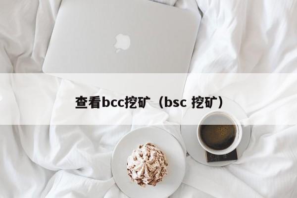 查看bcc挖矿(bsc 挖矿)