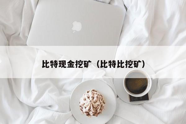 比特现金挖矿(比特比挖矿)