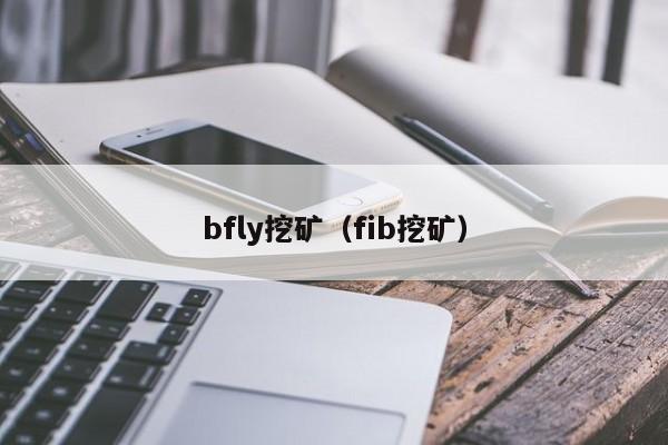 bfly挖矿(fib挖矿)