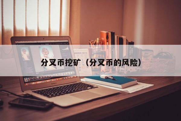 分叉币挖矿(分叉币的风险)