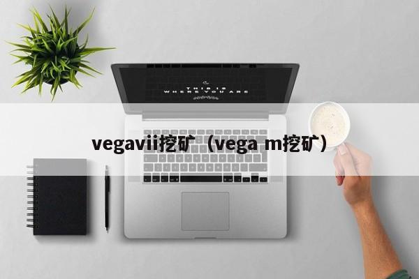vegavii挖矿(vega m挖矿)
