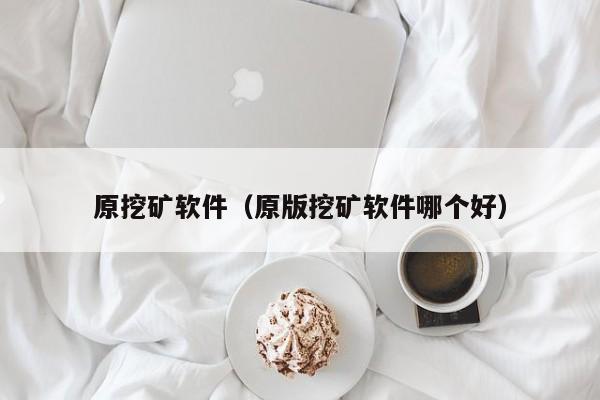 原挖矿软件(原版挖矿软件哪个好)