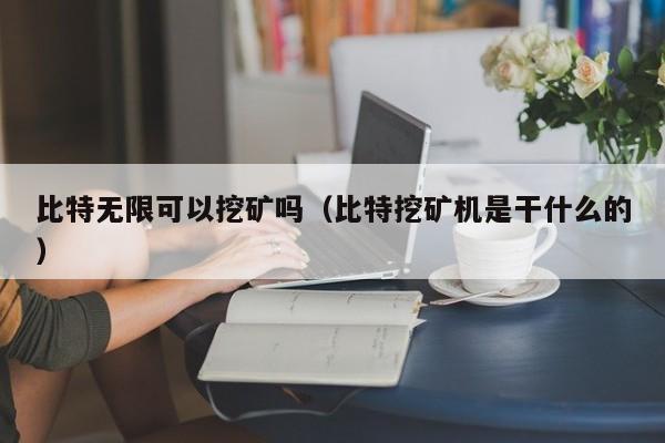 比特无限可以挖矿吗(比特挖矿机是干什么的)