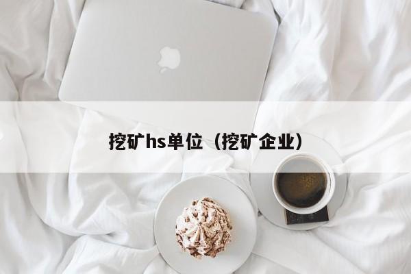 挖矿hs单位(挖矿企业)