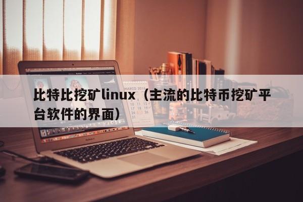 比特比挖矿linux(主流的比特币挖矿平台软件的界面)